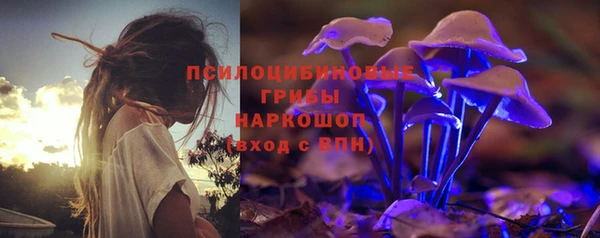 прущий лед Абаза