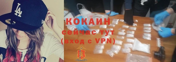 спайс Алзамай