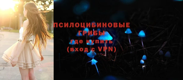 прущий лед Абаза