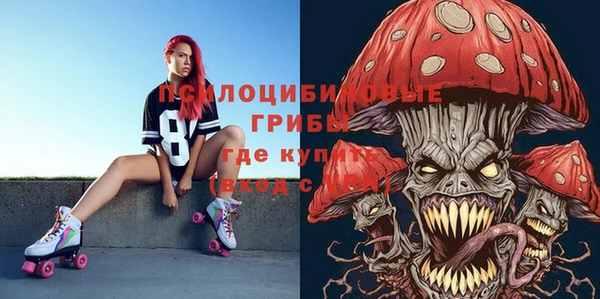 крисы Абинск