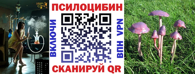 Псилоцибиновые грибы Psilocybe  Сухой Лог 